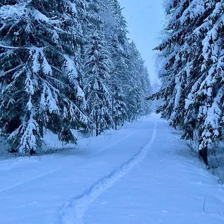 Lumo Lapland I